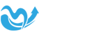 柏态云-建站智脑-小程序开发-GEO搜索优化